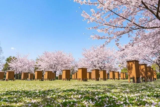 菩提寺変更にお布施は必要？